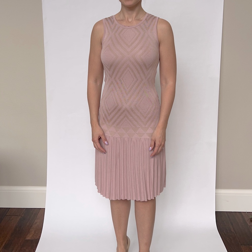 Ted Baker Bryanna Dress Pleated. Drop waist. Light Pink Size 1, Size small